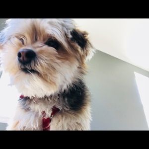 Meet your Posher, Skylar